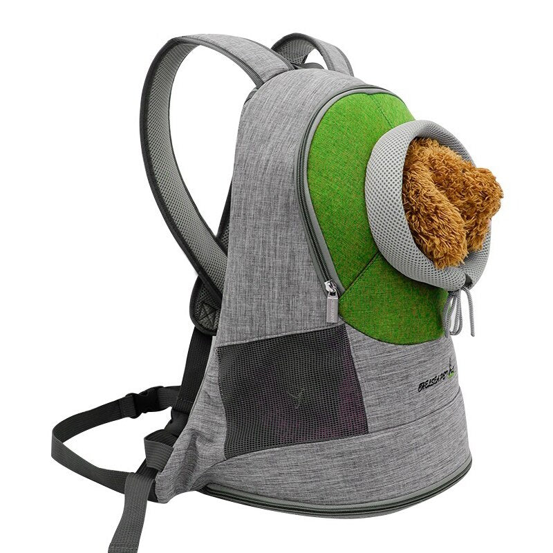 Carrier Travel BackpacK