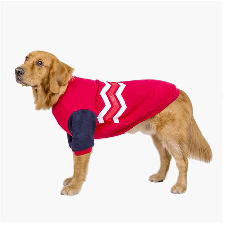 Cozy Wave Big Dog Sweater