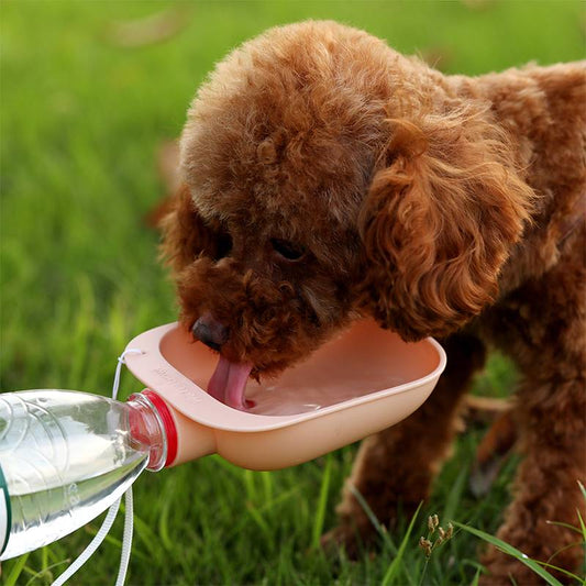 Portable Water Fountain For Dogs - Drink On The Go