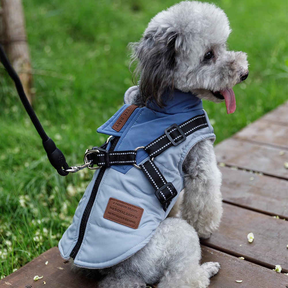 Thick Teddy Bear Dog Vests - Warm Small Breed Apparel for Winter