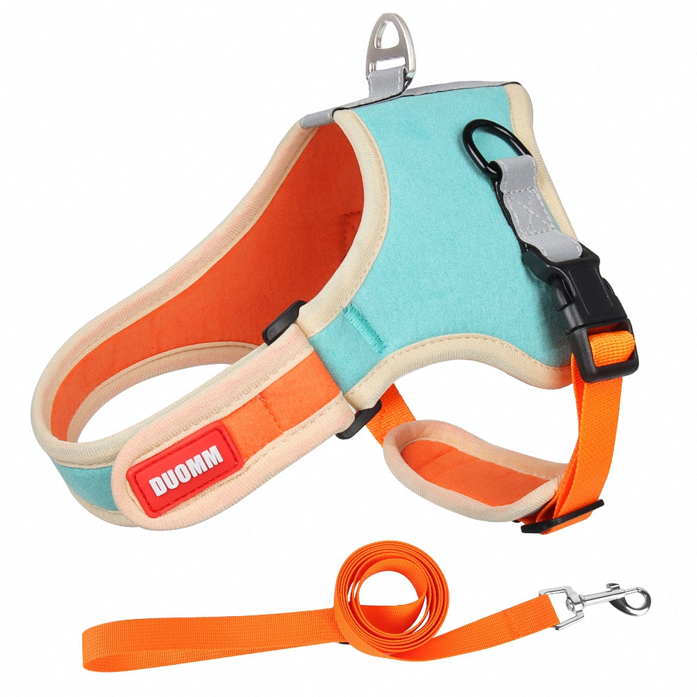 Colorful Dog Harness