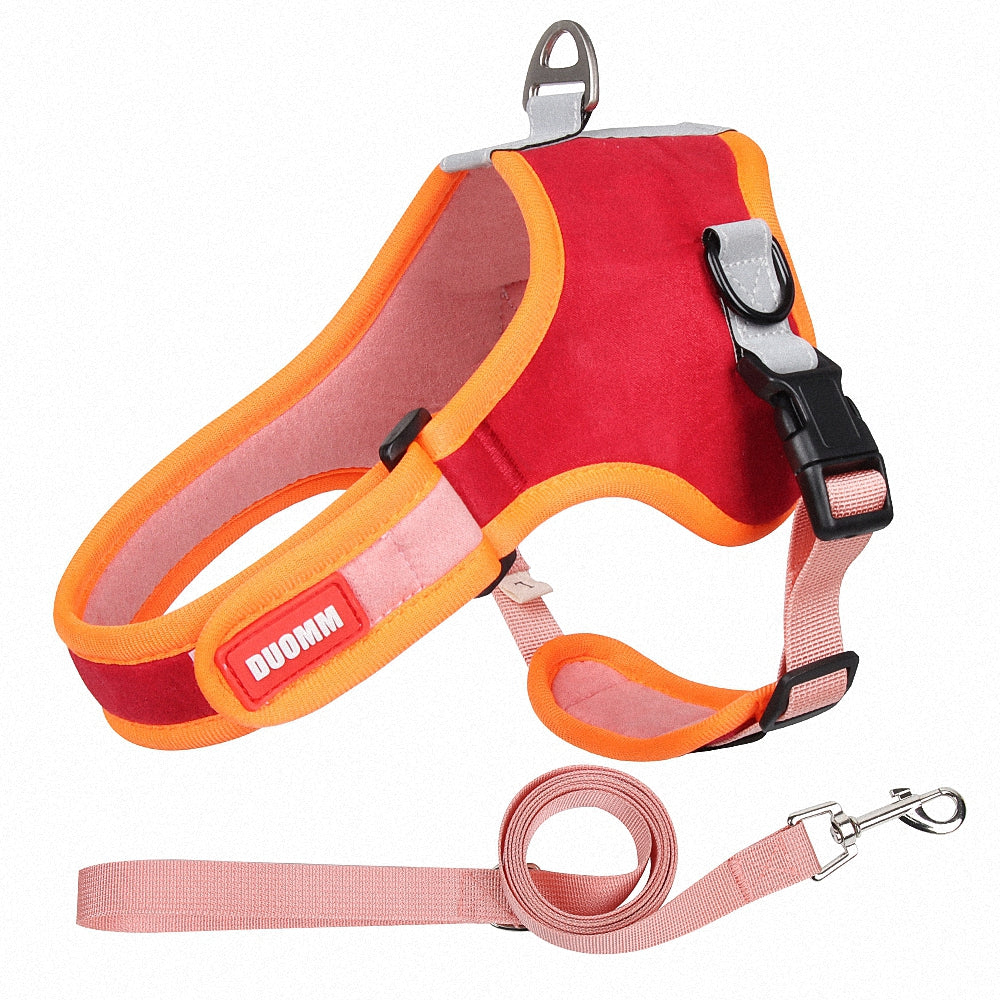 Colorful Dog Harness