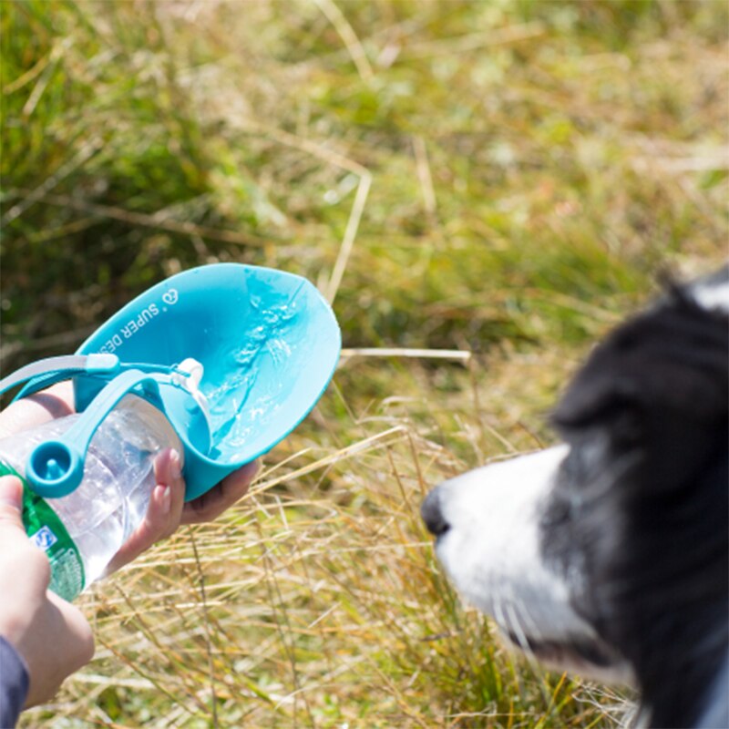 Leaf-Shaped Travel Water Bottle for Dogs & Cats - Portable 580ml Capacity