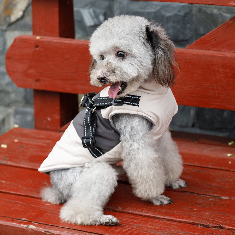 Thick Teddy Bear Dog Vests - Warm Small Breed Apparel for Winter