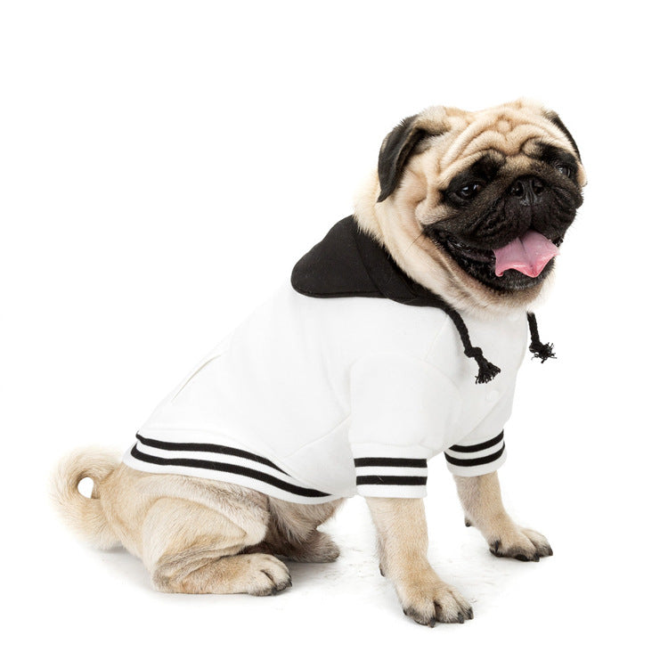 New Dog Sweaters - Cute Pet Clothing