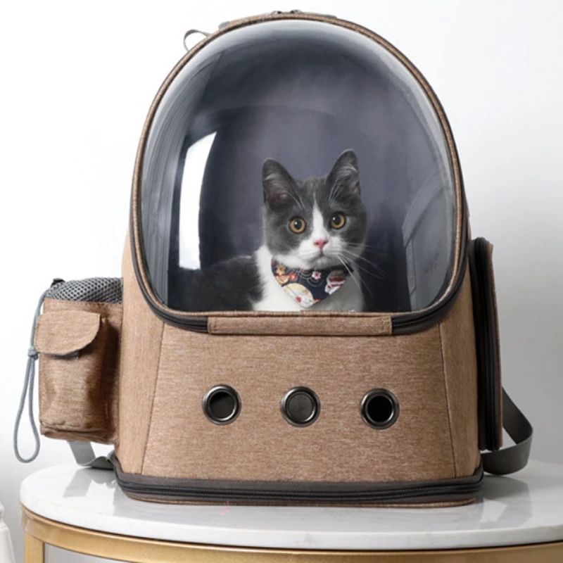 Fashionable Transparent Cat Backpack - Breathable Foldable Bag