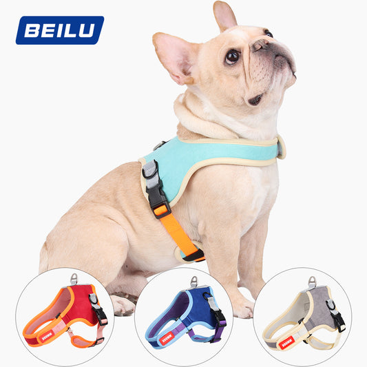 Colorful Dog Harness