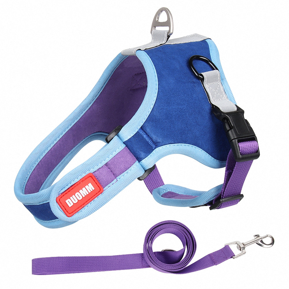 Colorful Dog Harness