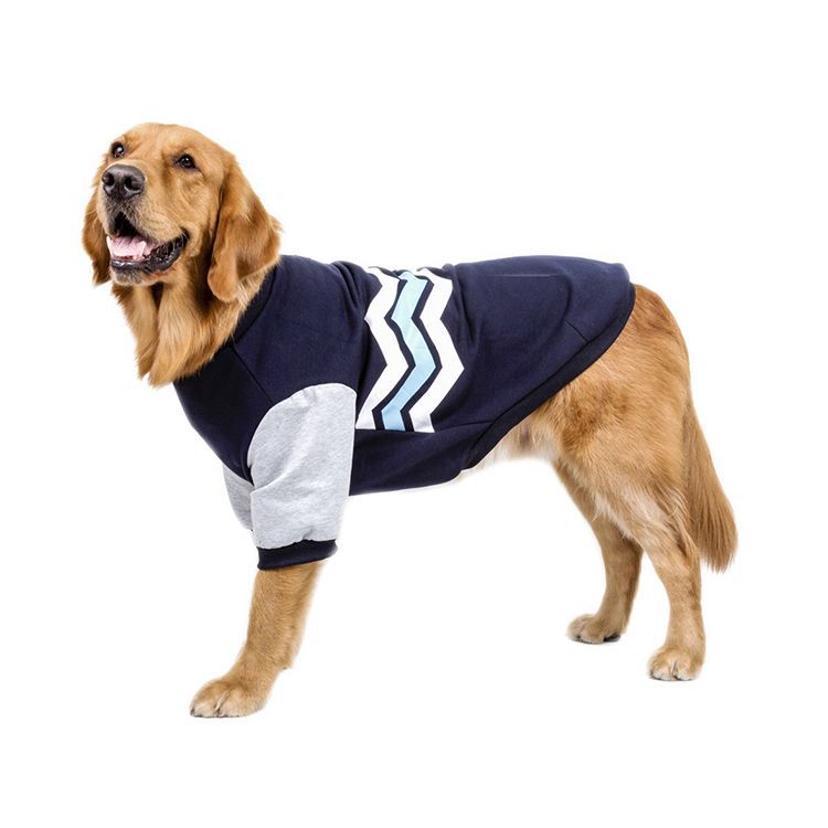 Cozy Wave Big Dog Sweater