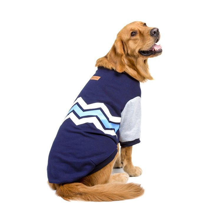 Cozy Wave Big Dog Sweater