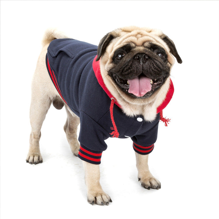 New Dog Sweaters - Cute Pet Clothing