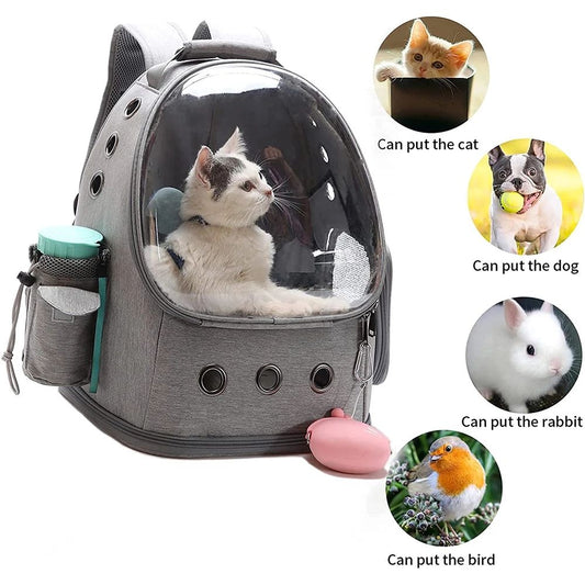 Fashionable Transparent Cat Backpack - Breathable Foldable Bag