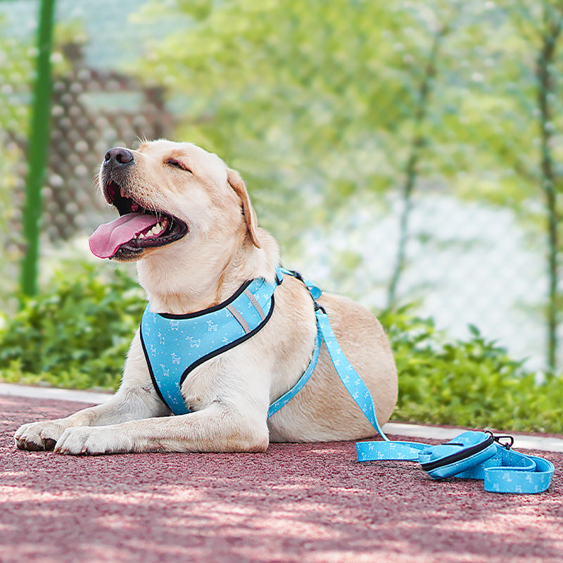 6-Piece Printed Dog Harness Set