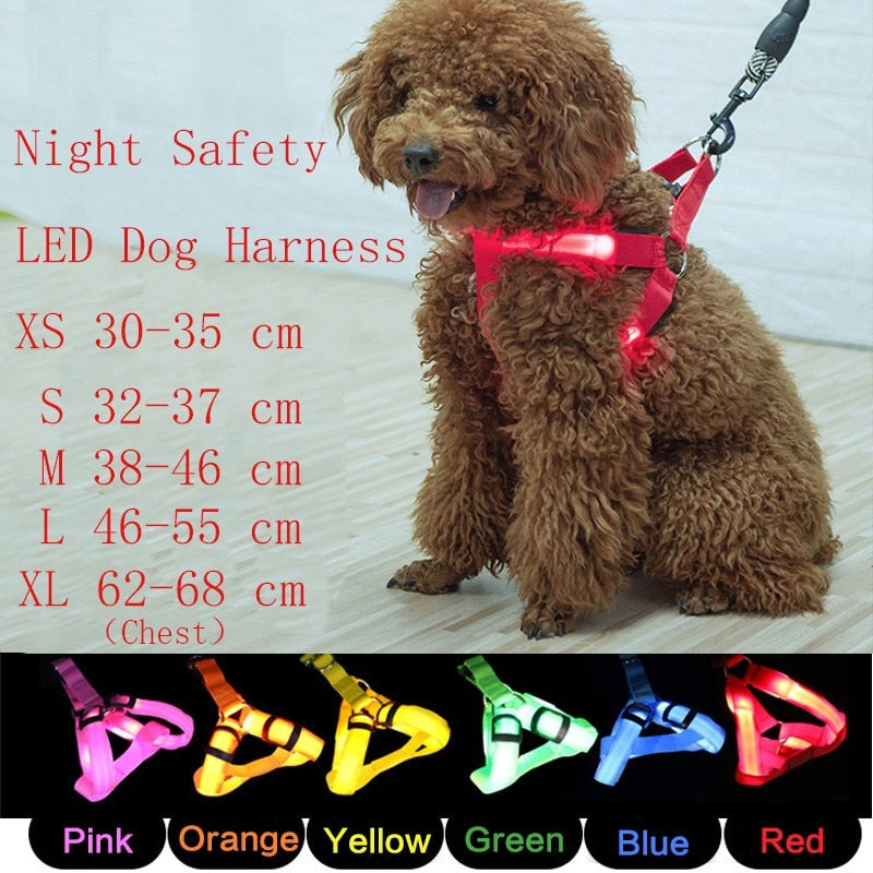 Luminous Safety Dog Harness - LED Visibility Strap