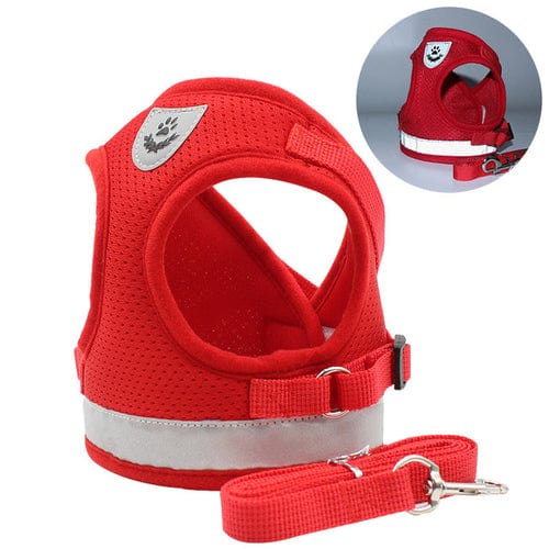 CozyCat Harness and Leash