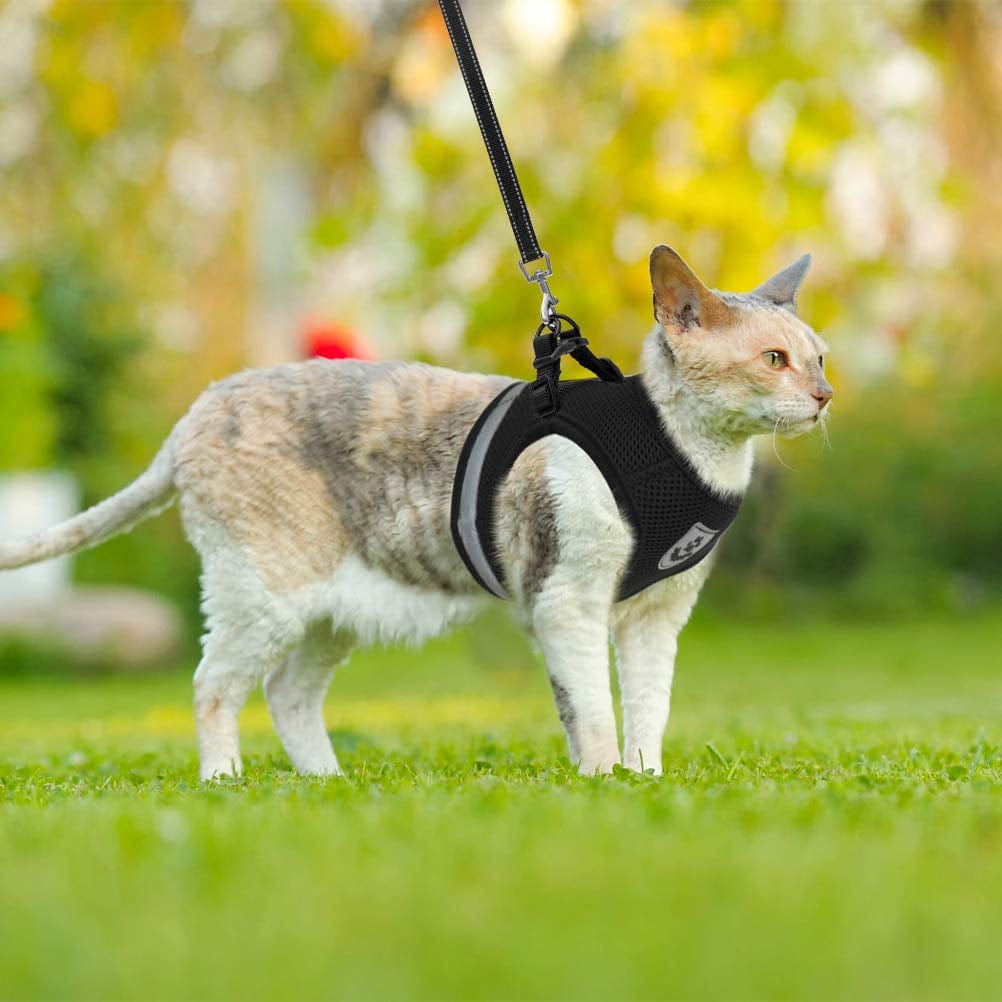 CozyCat Harness and Leash