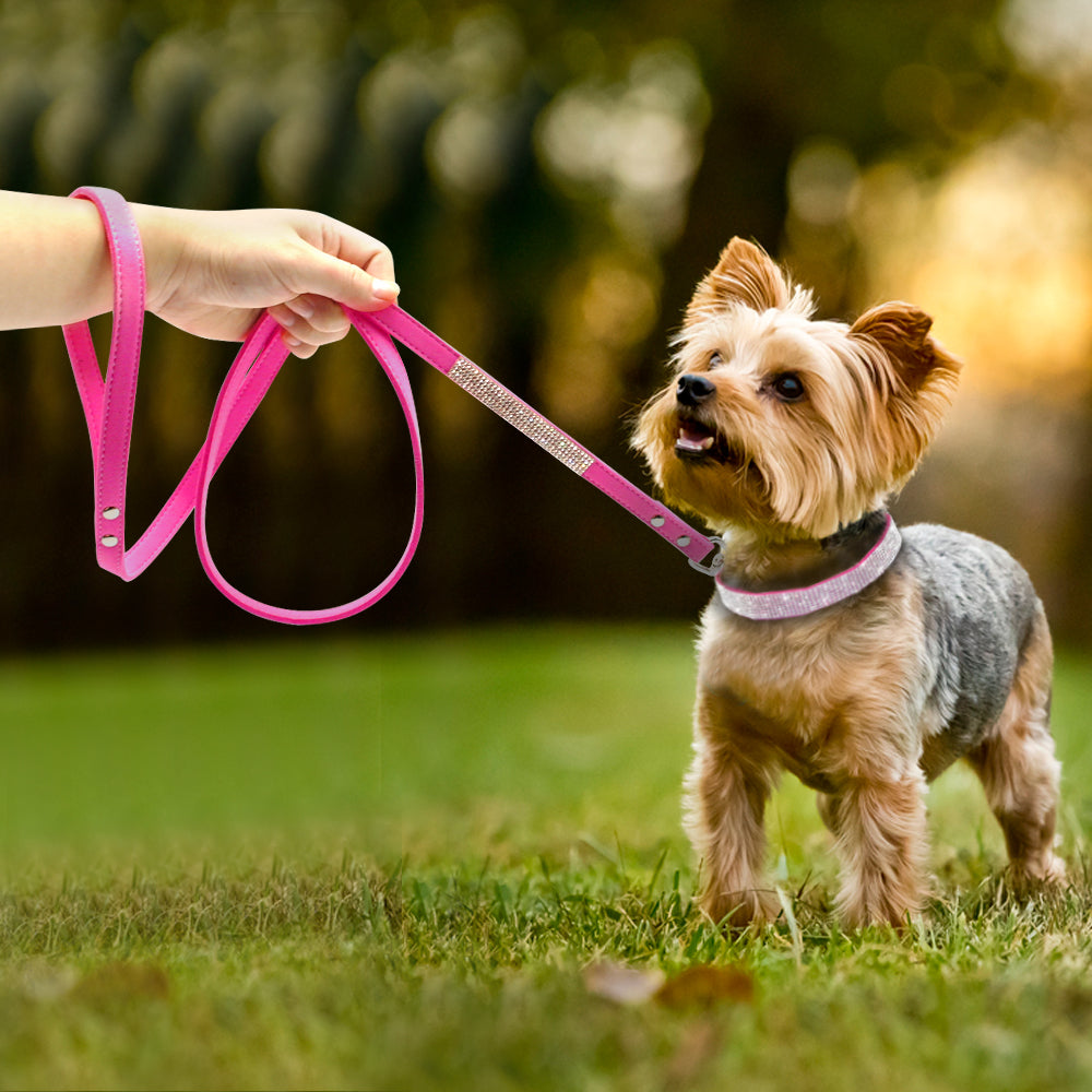 Blinged-out Pet Collar