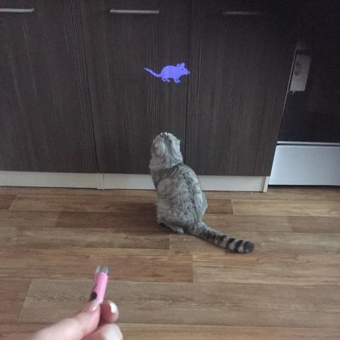 Cat Laser Pointer Multi-Pattern